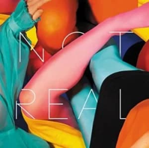 Not Real by Stealing Sheep CD Album