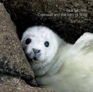 Seal Secrets by Sue Sayer Paperback