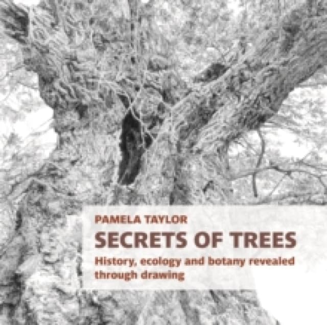 Secrets of Trees : History, ecology and botany revealed through drawing Paperback / softback