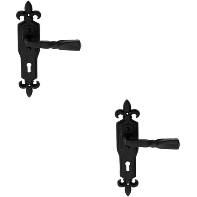 Loops 2x PAIR Forged Twisted Ornate Lever on Lock Backplate 226 x 50mm Black Antique Black