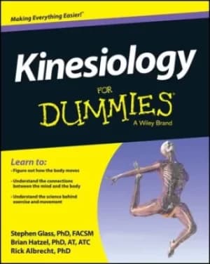 Kinesiology for dummies by Stephen Glass