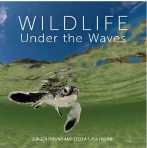 Wildlife under the Waves by Jrgen Freund Hardback
