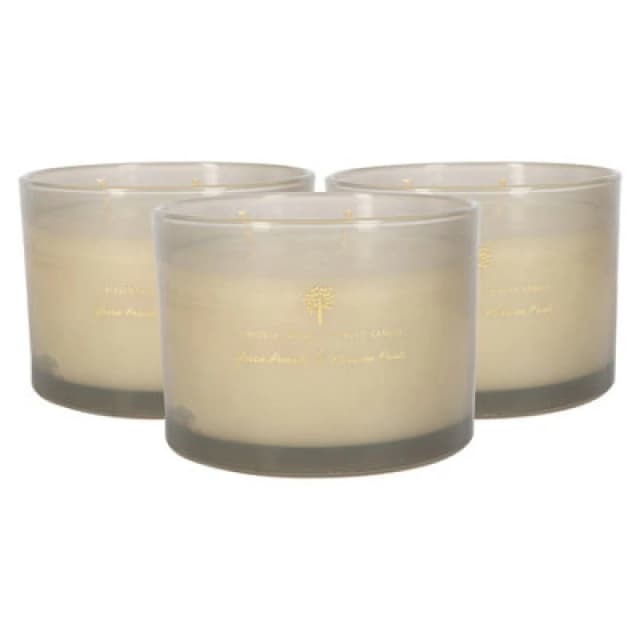 Nicola Spring Scented Candles - 350G - Green Pomelo & Passion Fruit Pack Of 3 Double Wick Sweet Fruity Scent Long Burn Fragrance