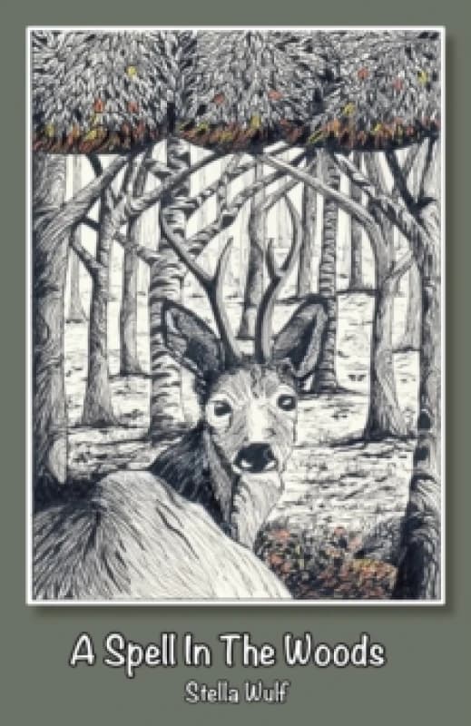 A Spell in The Woods Paperback / softback
