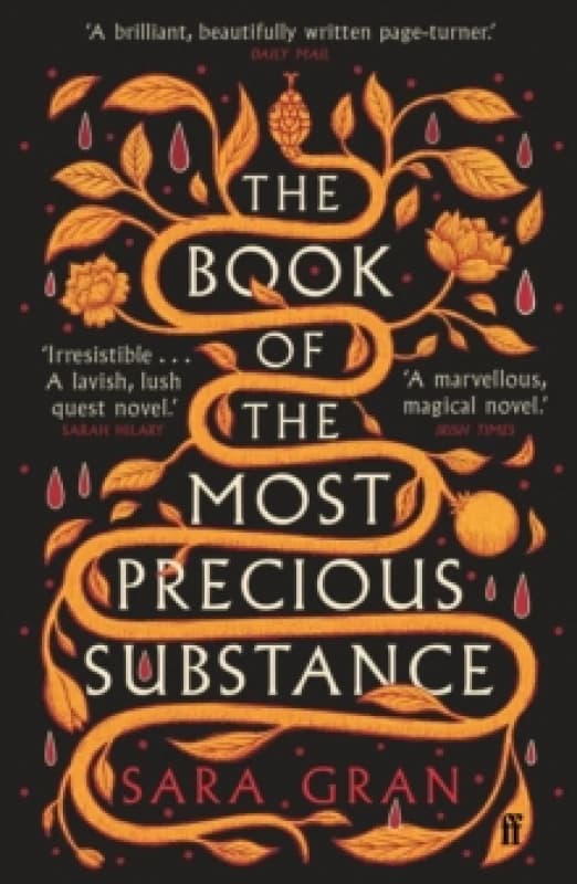 The Book of the Most Precious Substance. Paperback. By Sara Gran Books