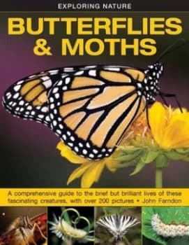 Butterflies and Moths by John Farndon Hardback