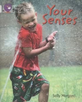 Your Senses by Sally Morgan Paperback