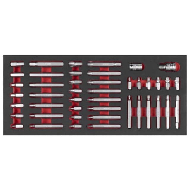 Sealey Premier 44 Piece 10mm Hex Shank Screwdriver Bit Set in Module Tray TBT60