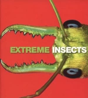 Extreme Insects by Richard Jones Paperback