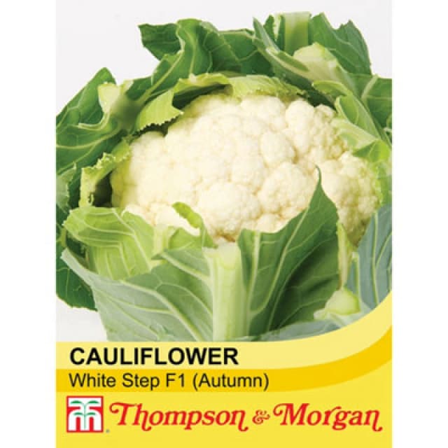 Thompson & Morgan Cauliflower White Step F1 Hybrid 1 Seed Packet (30 Seeds)