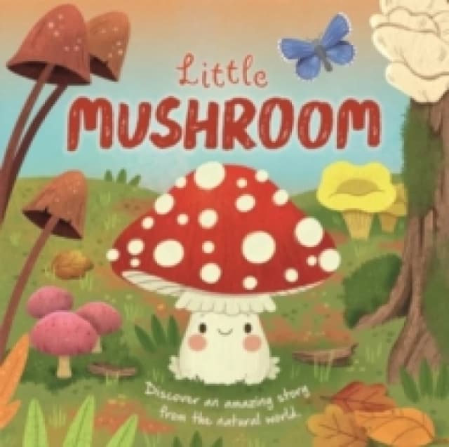 Little Mushroom Board book