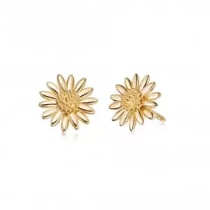 Bellis Daisy Stud 18ct Gold Plated Earrings E2005_GP