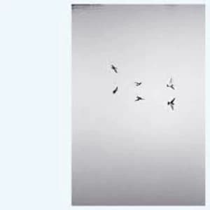 Kirk Barley - Landscapes Vinyl