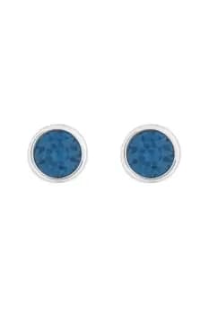 Silver Plated Besel Set Montana Stud Earrings
