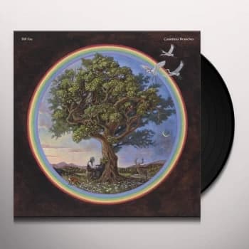 Bill Fay - Countless Branches 2020 Vinyl