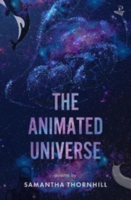 The Animated Universe Paperback / softback