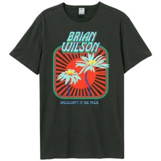 Amplified Amplified Men Wouldn't Be Nice Brian Wilson T-Shirt in Charcoal Size: X-Small Charcoal XS Male 5063377078398