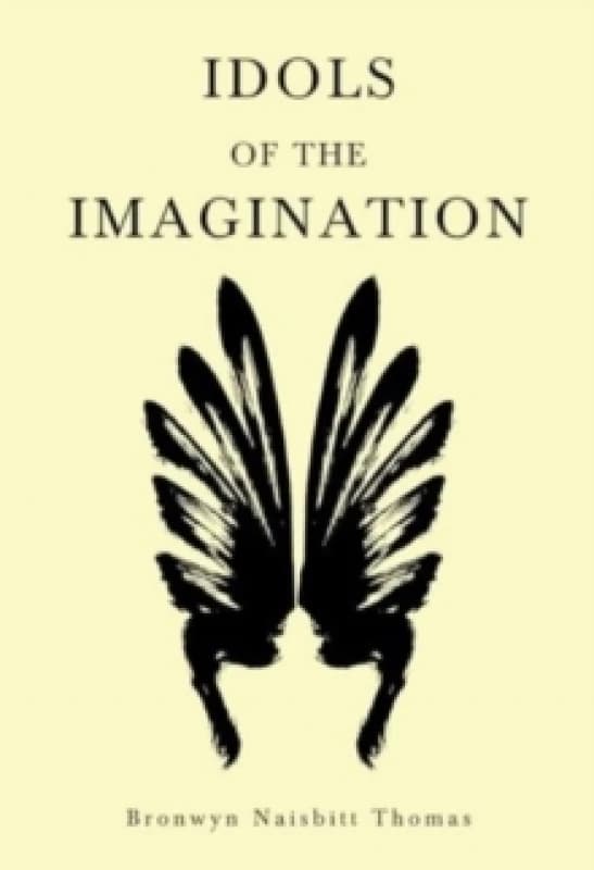 Idols of the Imagination Paperback / softback