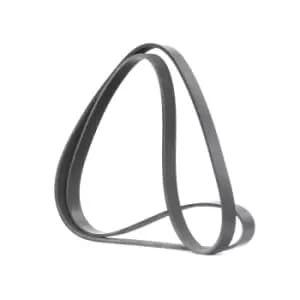 RIDEX V-ribbed belt MERCEDES-BENZ,FORD,RENAULT 305P0157 60815666,46786740,71719401 1004487,1127408,1C1Q6C301BA,7064726,94WF6C301B1B,96MF6C301DB