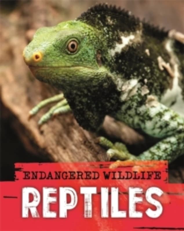 Anita Ganeri Endangered Wildlife: Rescuing Reptiles Book Multi unisex