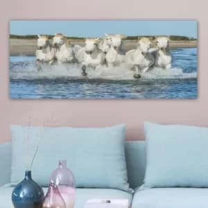 YTY281247833_50120 Multicolor Decorative Canvas Painting