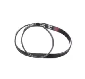 RIDEX V-ribbed belt 305P0369 Serpentine belt,Auxiliary belt AUDI,FIAT,PEUGEOT,R8 Coupe (422, 423),R8 Coupe (4S3, 4SP),R8 Spyder (4S9, 4SR)