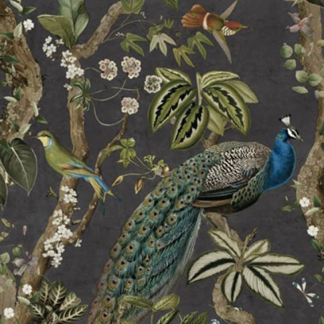 Holden Decor Peacock Woods Tropical Floral Jungle Exotic Birds Wallpaper Charcoal