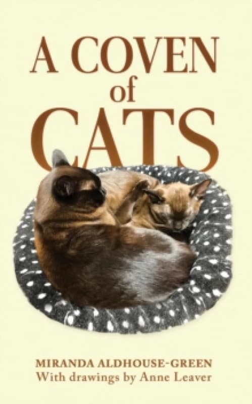 A Coven of Cats. Paperback. By Miranda J AldhouseGreen Books
