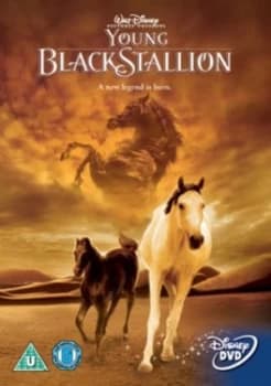 The Young Black Stallion - DVD