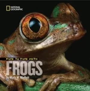 face to face with frogs