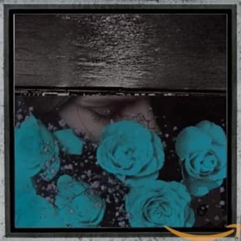 Jessica Bailiff - At The Down Turned Jagged Rim CD