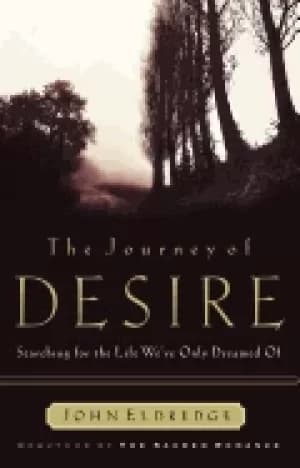 journey of desire searching for the life weve only dreamed of