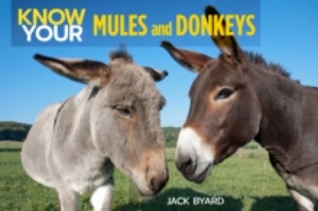 Know Your Donkeys & Mules Paperback / softback