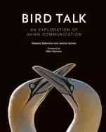 bird talk an exploration of avian communication