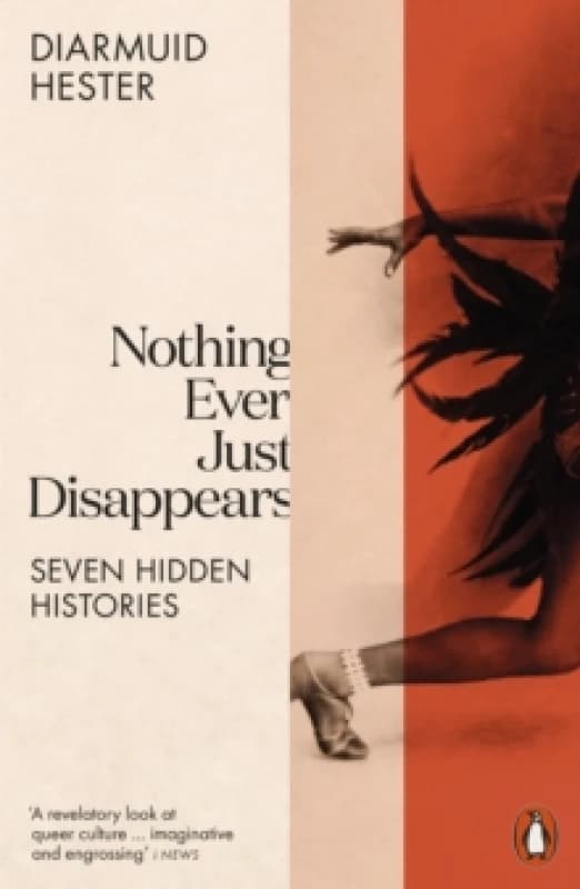 Nothing Ever Just Disappears. Paperback. By Diarmuid Hester Books