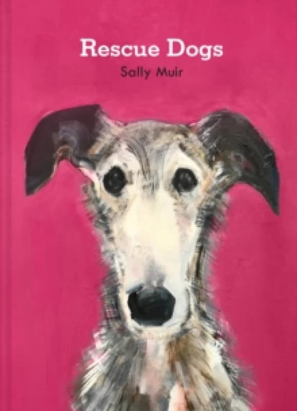 Rescue Dogs Hardback