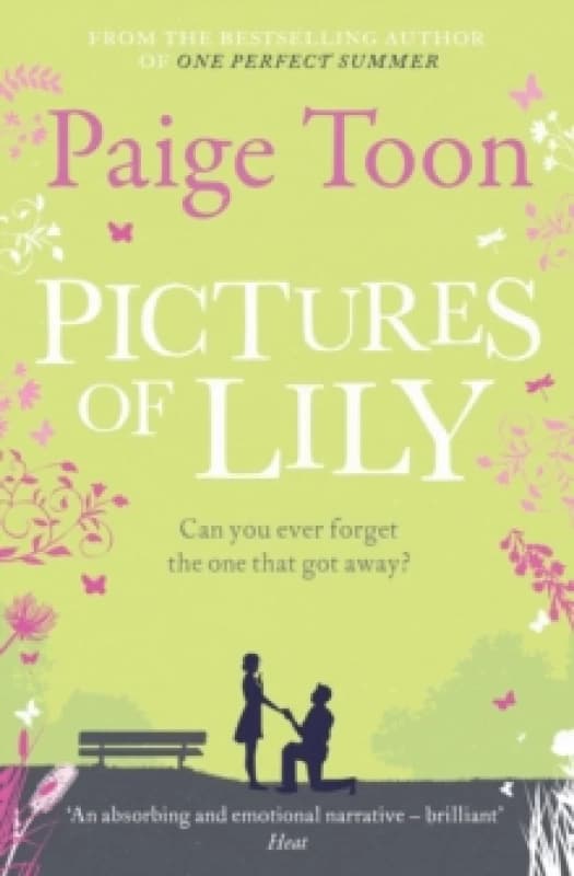 Pictures of Lily Paperback / softback