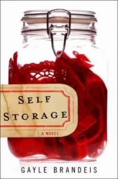 Self Storage by Gayle Brandeis Book