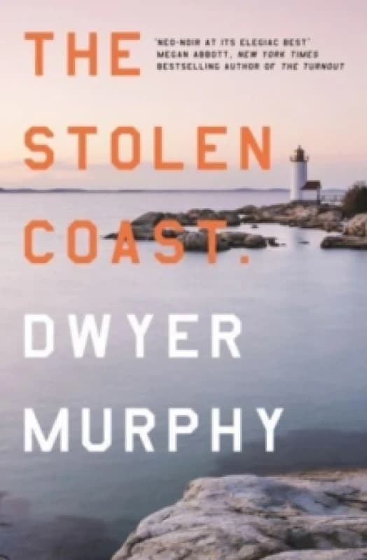 The Stolen Coast Paperback / softback