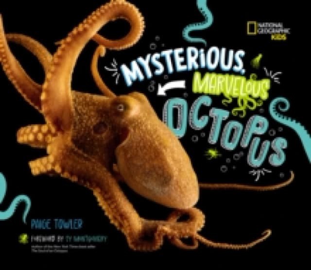Mysterious, Marvelous Octopus! Hardback
