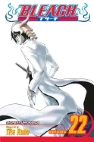 bleach vol 22