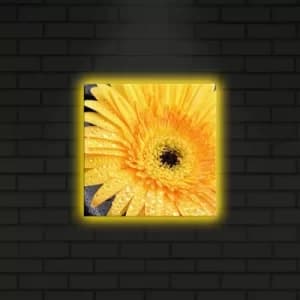 2828DACT-10 Multicolor Decorative LED Lighted Canvas Painting