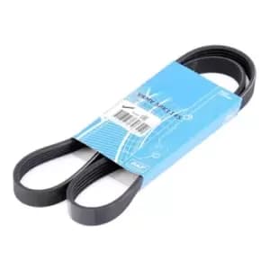 SKF V-ribbed belt FORD,FIAT,MITSUBISHI VKMV 5PK1145 55191970,55232449,55249821 71732350,55191970,55232449,55249821,71732350,1535422,2009266,9S518620BA