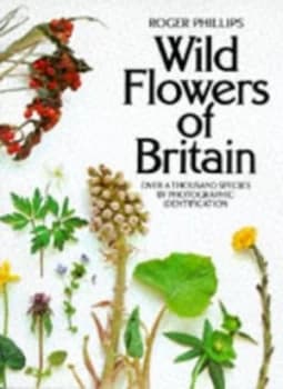 Wild Flowers of Britain Paperback