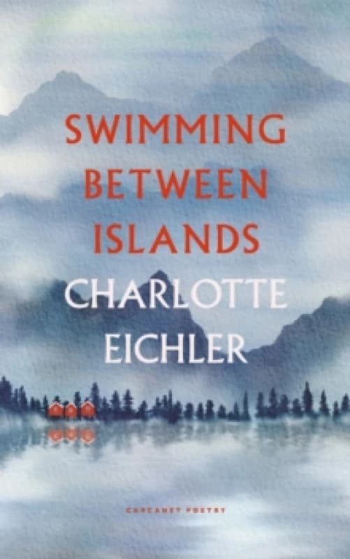 Swimming Between Islands Paperback / softback
