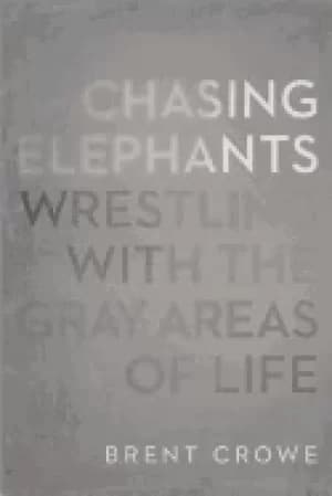 chasing elephants wrestling with the gray areas of life