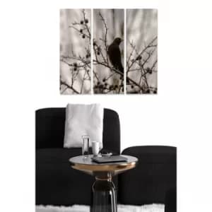 MDF3910967 Multicolor Decorative MDF Painting (3 Pieces)