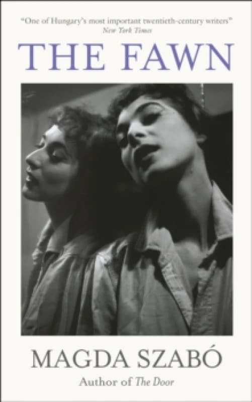 The Fawn Paperback / softback