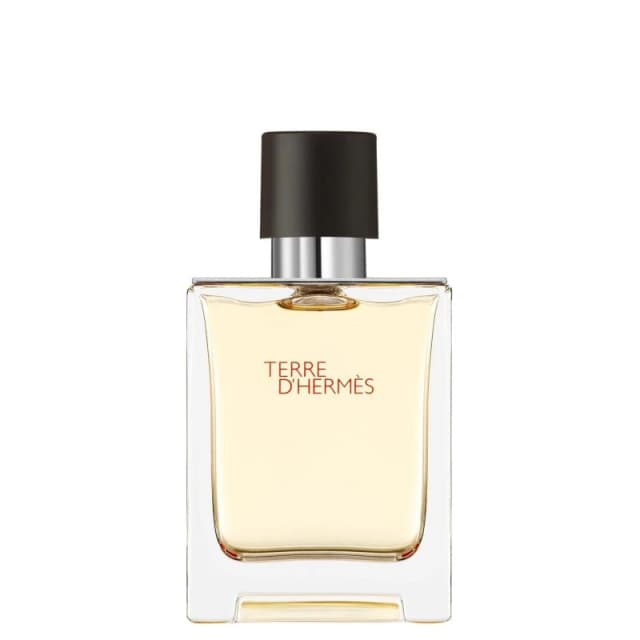 Hermes Terre dHermes Eau de Toilette Terre male 50ml