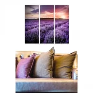 MDF446431585 Multicolor Decorative MDF Painting (3 Pieces)